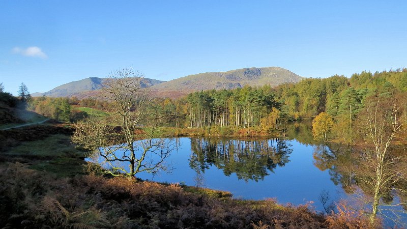 (31) Tarn Howes.JPG